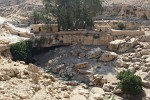 Moses' Springs near Mt Nebo. : Jordan