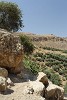 Moses' Springs with Mt Nebo in the background. : Jordan