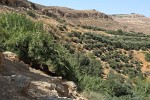 Moses' Springs with Mt Nebo in the background. : Jordan