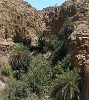 Although the Mountains East of the Dead Sea appear to be completely dry, small waterstreams can be found in certain places that flow, mostly just below the surface, to the Dead Sea. : Jordan