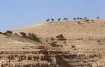 Mountains East of the Dead Sea. : Jordan