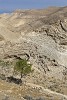 Steep Hills surround King Herod's Castle at Mukawir. : Jordan