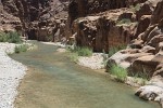 Wadi Mujib Canyon. : Jordan