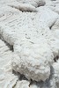 Salt deposits on the Dead Sea shoreline. : Jordan