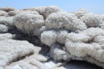 Salt deposits on the Dead Sea shoreline. : Jordan