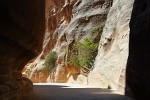 The Siq. : Jordan