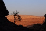 Petra. : Jordan