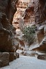 The Siq. : Jordan