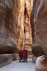 Horse carriage in the Siq. : Jordan