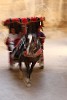 Horse carriage in the narrow Siq. : Jordan