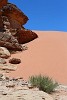 Striking sand dune in Wadi Rum, Jordan. : Jordan