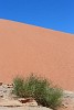 Striking sand dune in Wadi Rum, Jordan. : Jordan