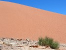 Striking sand dune in Wadi Rum, Jordan. : Jordan