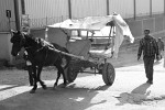 The streets of Addis Abbeba.