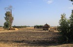 Little farmhouse in Shewa Province.