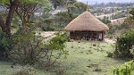 Traditional hut in Shewa Province.