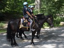 New York's finest on horseback in Central Park.