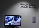 The UN Security Council in New York.