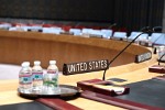 The UN Security Council in New York.