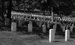 Arlington National Cemetery.