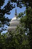 The US Capitol in Washington D.C.