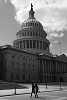 The United States Capitol.