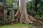 Buddhist monastery Banteay Kdei - Angkor, Cambodia. : Cambodia