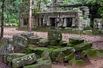 Ta Prohm temple - Angkor, Cambodia. : Cambodia