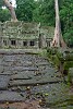 Ta Prohm temple - Angkor, Cambodia. : Cambodia