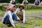 Workers at Ta Prohm temple - Angkor, Cambodia. : Cambodia