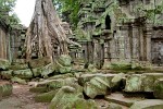 Ta Prohm temple - Angkor, Cambodia. : Cambodia