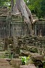 Preah Khan ("Sacred Sword") temple - Angkor, Cambodia. : Cambodia, Cambodia