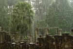 Bayon - Angkor Thom, Cambodia. : Cambodia