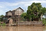 Houses on stilts in Kompong Phhluk, Cambodia. : Cambodia