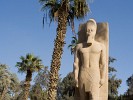 Memphis' Museum - Memphis, Egypt. : Egypt