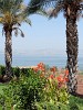 View from the Italian Church on the Mount of Beatitudes on the shore of the Sea of Galilee, Israel. : Israel, SNMG2 Deployment 2006