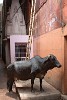 Varanasi, India. : India