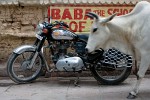 Royal Enfield - Varanasi, India. : India