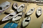 The Ganges river - Varanasi, India. : India