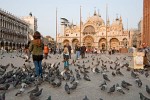 Feeding the pigeons on Piazza San Marco - Venice, Italy. : Italy