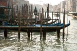 The Grand Canal (or Canalazzo), the street of the nobles, is one of the rivers which have formed the lagoon by finding its way through the mud-banks, past the mouths of the Lido, to the open sea. It is the original rivo alto (deep stream) which created Venice, and up which the commerce of all countries was able to reach the city in the days of her splendour. : Italy