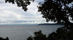 View over Drake's Bay from my cabin in Agujitas on Peninsula de Osa. : Costa Rica