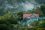 View from my cabin in Agujitas on Peninsula de Osa. : Costa Rica