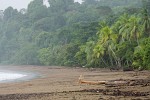 Agujitas' deserted  beach in the never ending rain. : Costa Rica