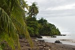 Deserted beach on Peninsula de Osa. : Costa Rica