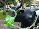 ‘Cow-art’ in San José . : Costa Rica