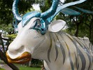 ‘Cow-art’ in San José . : Costa Rica