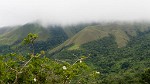 Entering the Green World of Panama. : Panama