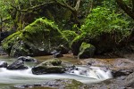 The serene Chorro de las Mozas (young women’s falls) in El Valle. : Panama, Waterfall