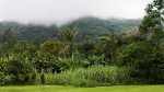 The cloud covered crater rim of El Valle. : Panama